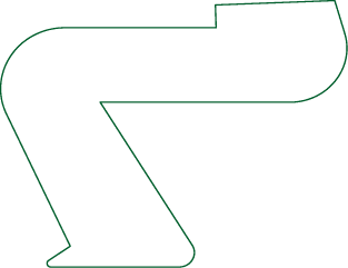 Polygon