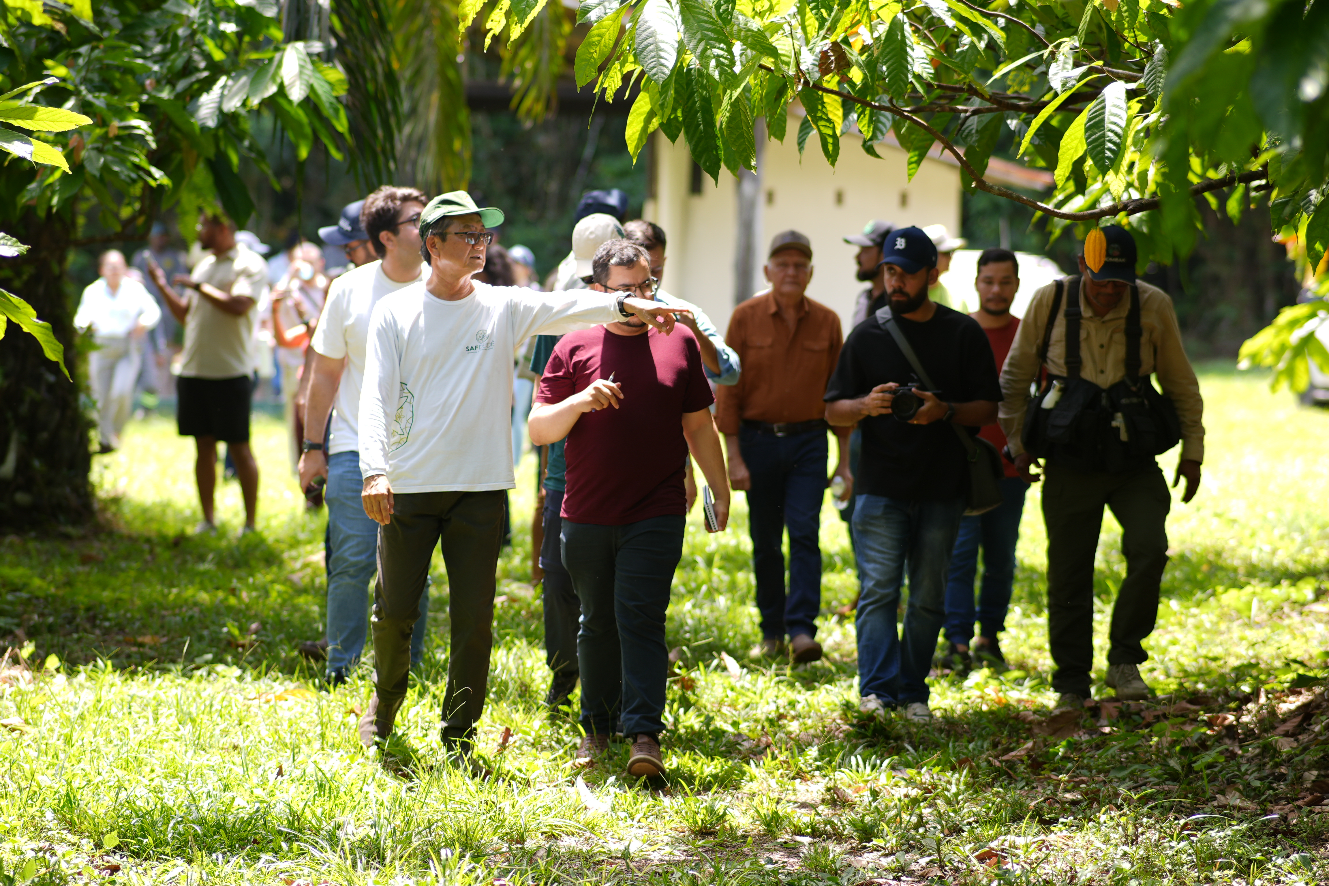 Visita ao Sistema SAF Dendê na propriedade do cooperado Ernesto Suzuki