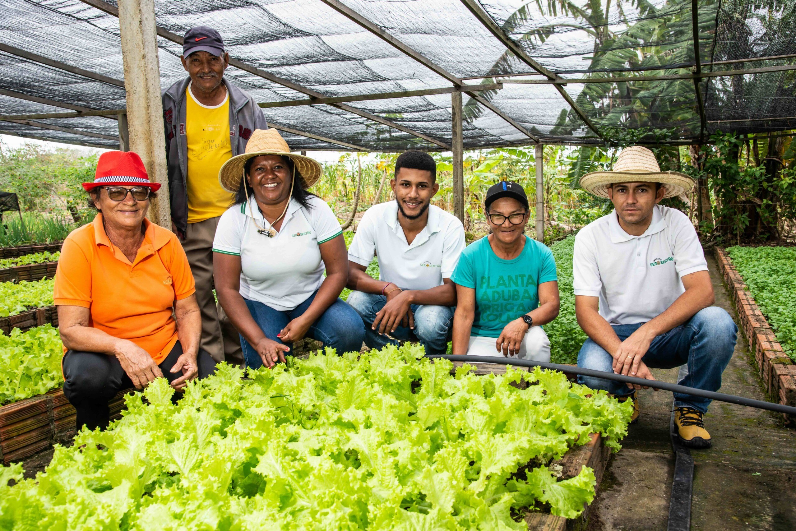 Dirigida por mulheres, Coopsertão inaugura fábrica e lidera recuperação da Caatinga no sertão baiano