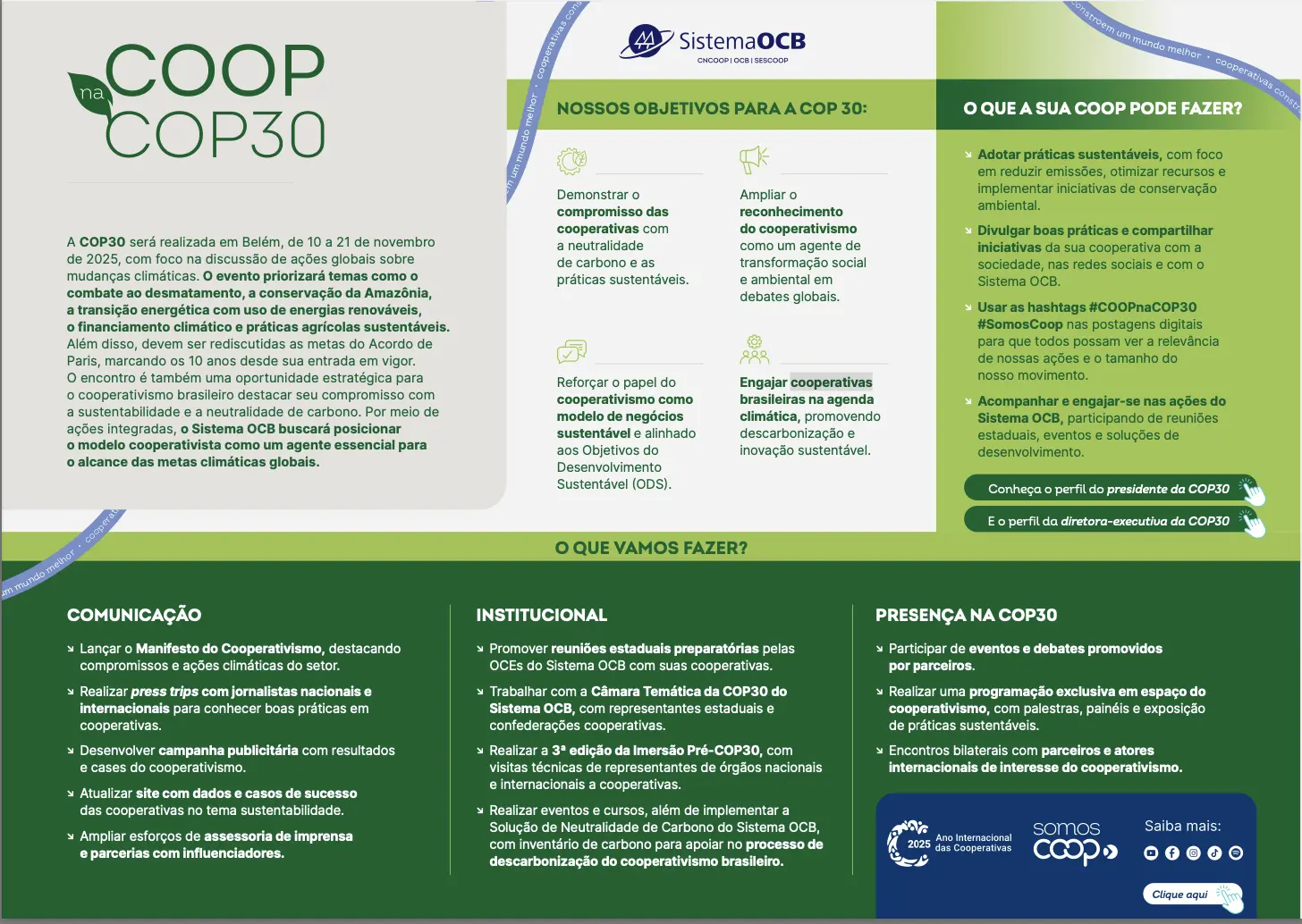 Cooperativismo na COP30 ter&aacute; foco na sustentabilidade