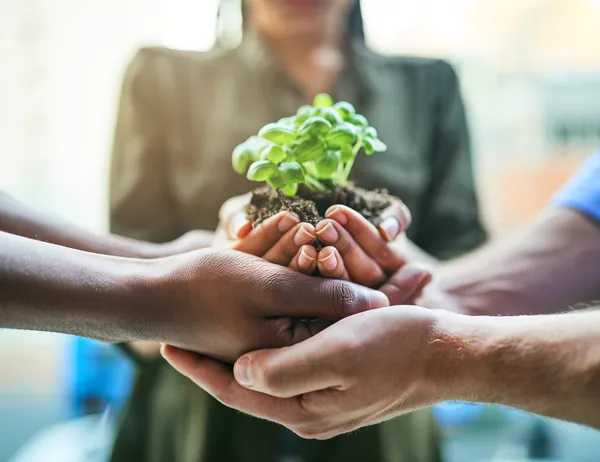 Seguran&ccedil;a alimentar: por qu&ecirc; &eacute; importante e qual o papel do coop