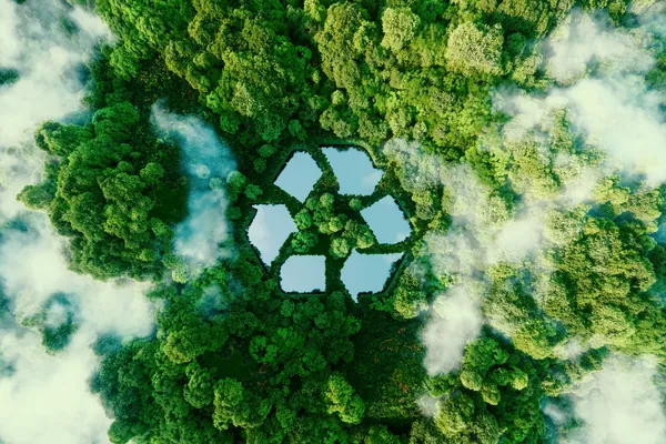 Cr&eacute;ditos de carbono geram oportunidades de neg&oacute;cios sustent&aacute;veis para o cooperativismo