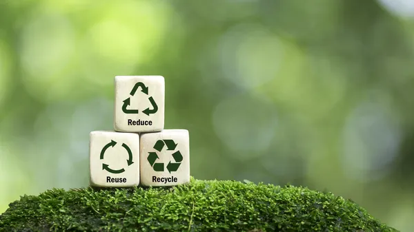 Log&iacute;stica reversa no cooperativismo: sustentabilidade e bons neg&oacute;cios