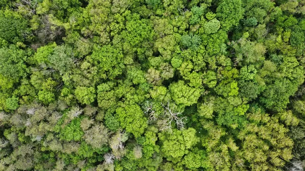 Gest&atilde;o ambiental: como calcular a pegada de carbono da sua cooperativa