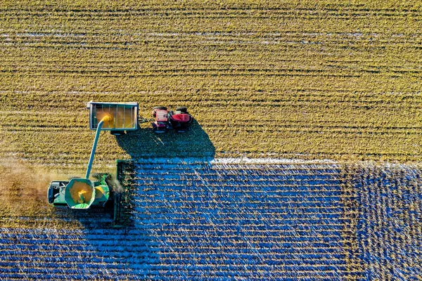 Desafios e oportunidades de neg&oacute;cios para as cooperativas agropecu&aacute;rias em 2026