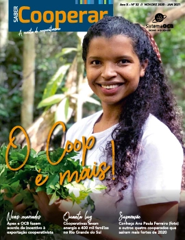 Ano X | N&uacute;mero 32 | Novembro e Dezembro/2020 e Janeiro/2021